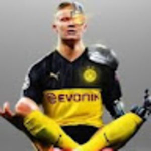 Meet your Posher, Erling